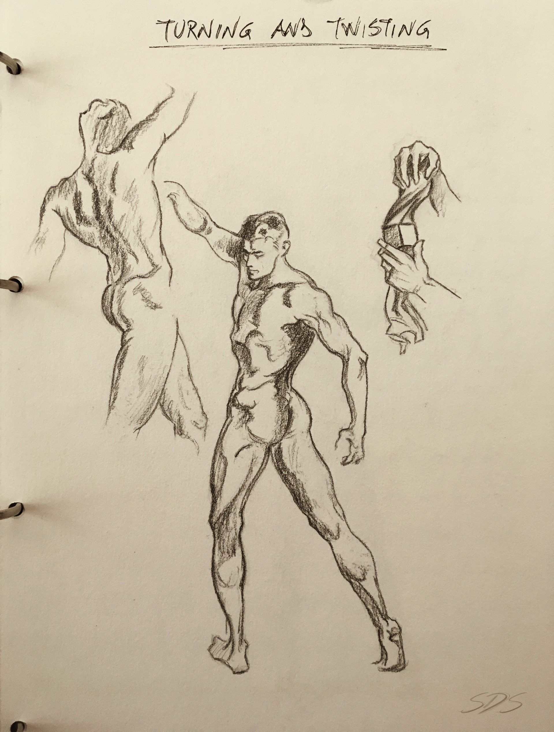 Simone De Salvatore Anatomy Study Figure Drawing