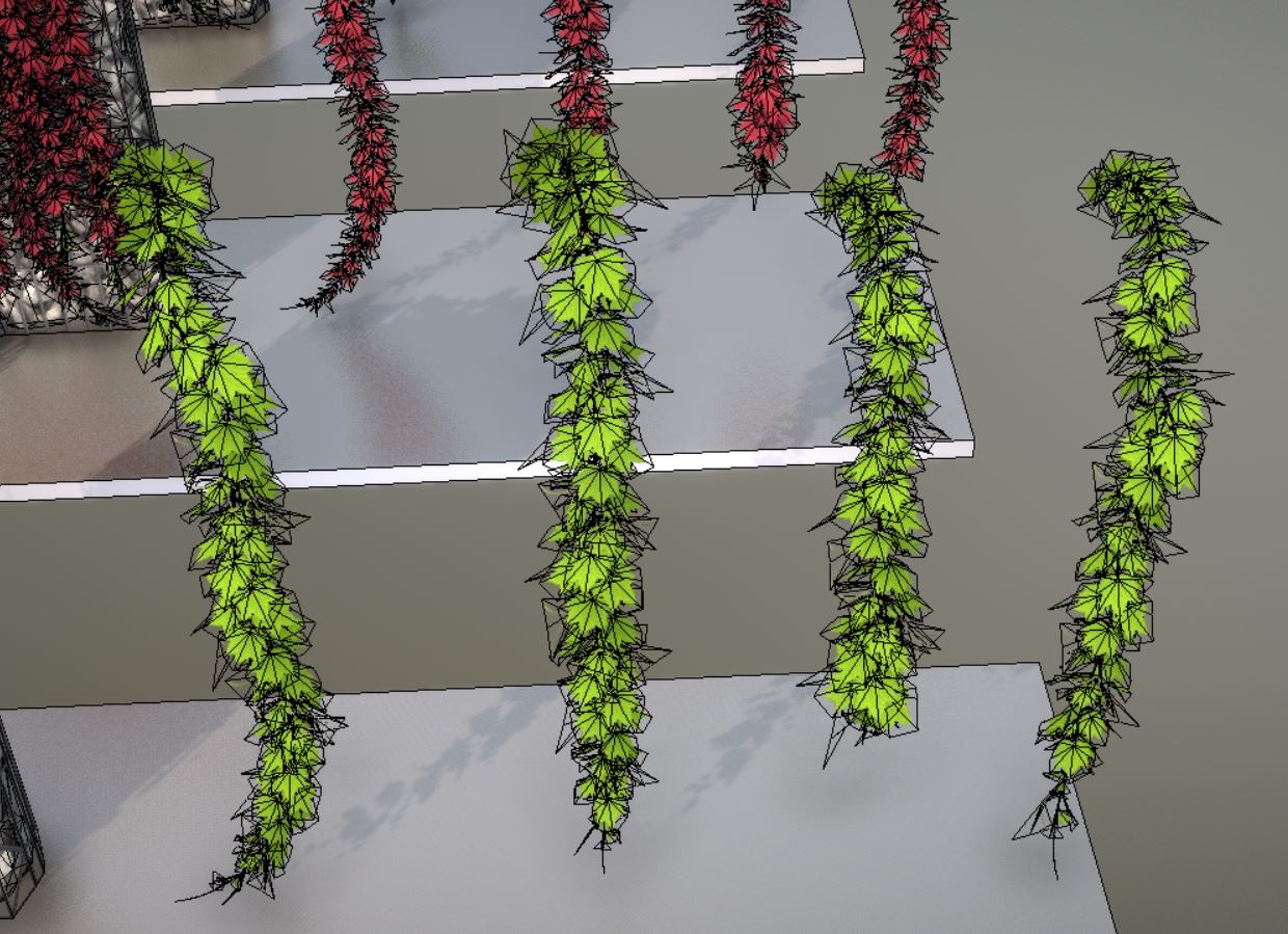 Grapevine wireframe hanging/growing down