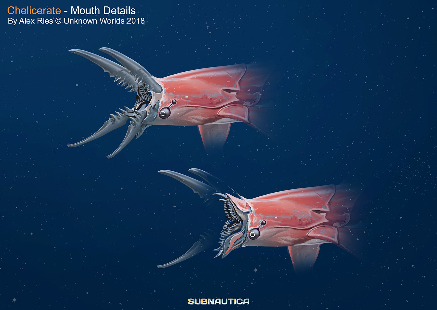 Mouth details