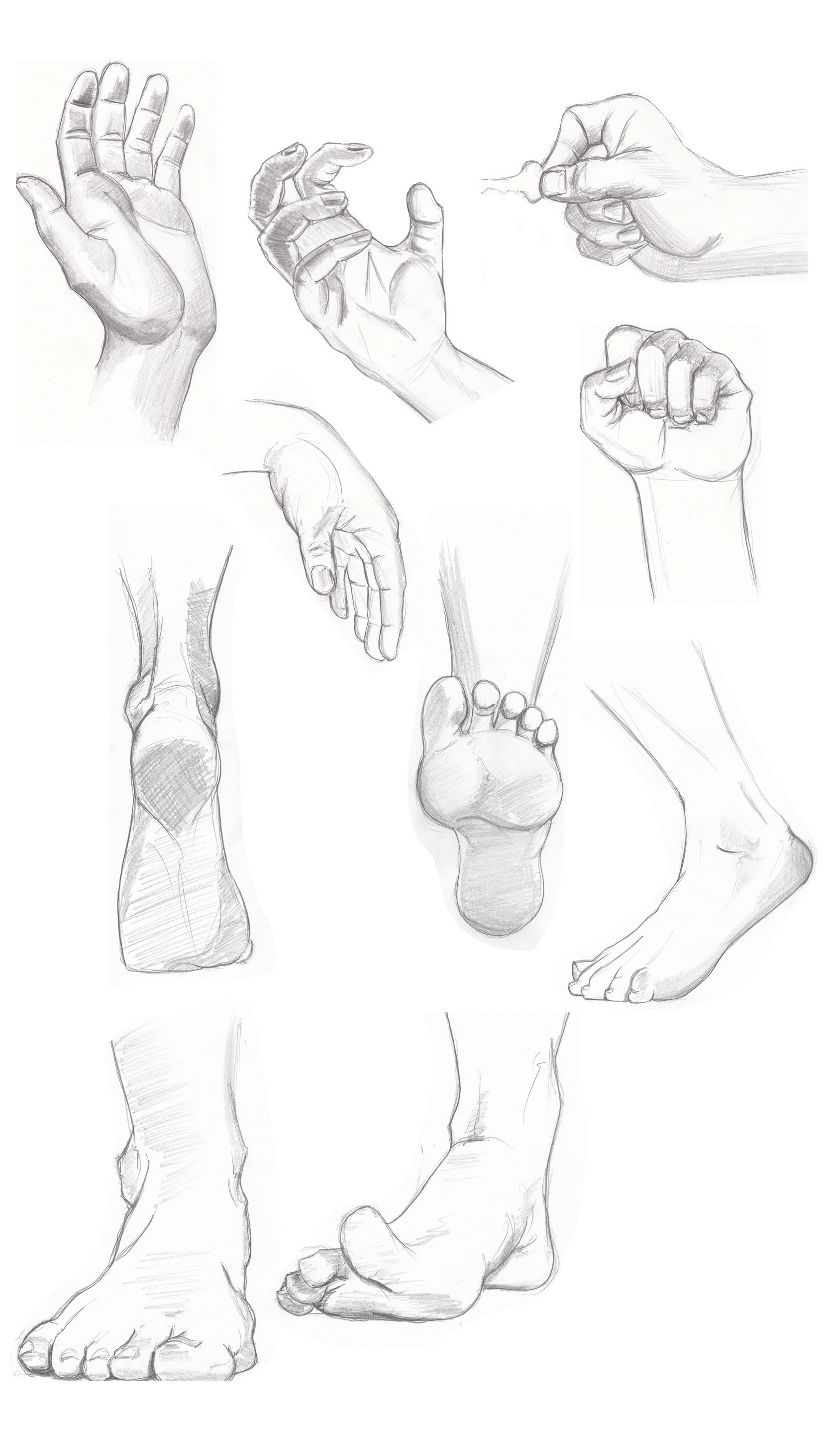 ArtStation - Hnad and foot study