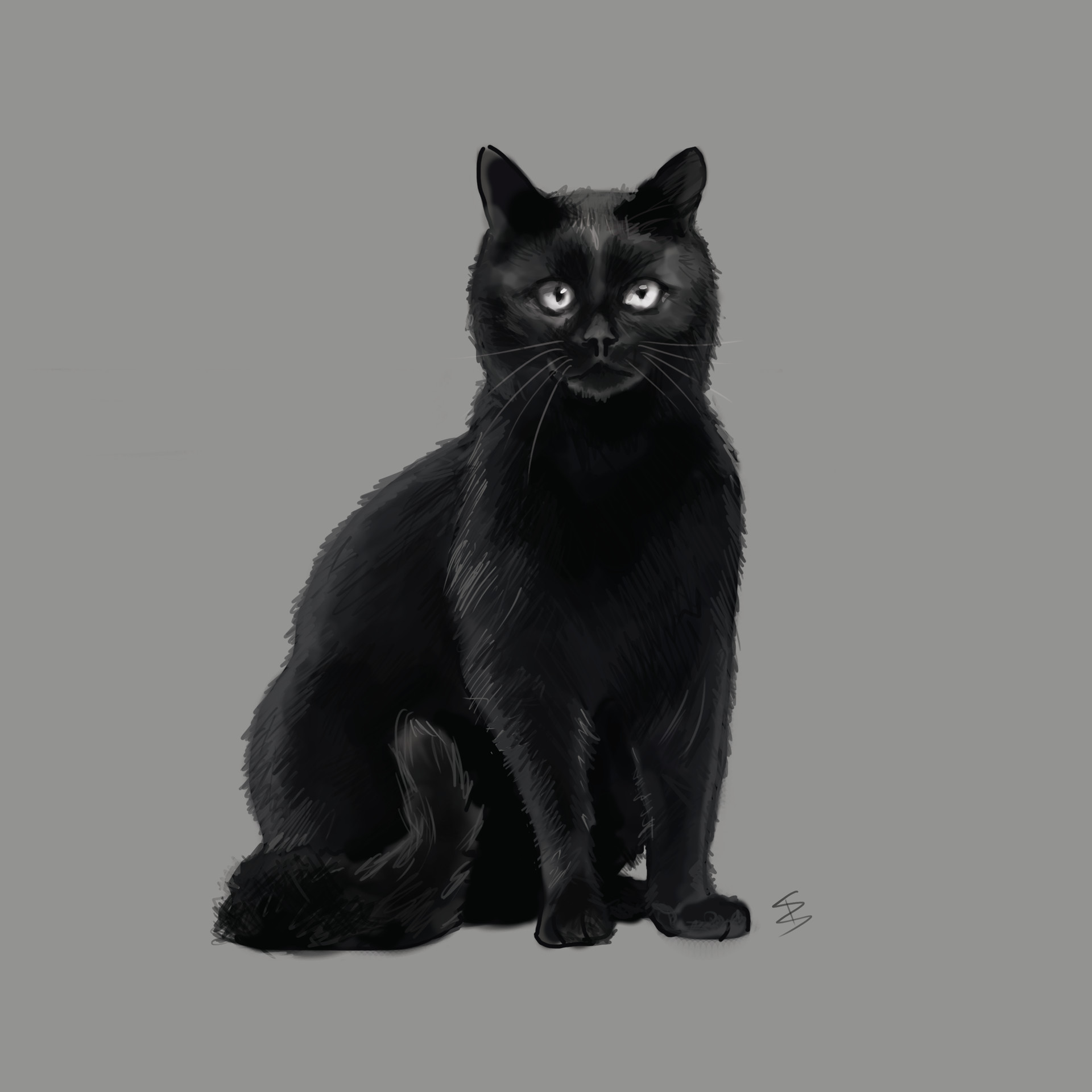 Artstation Cat Digital Painting Practice Sonja Brstilo