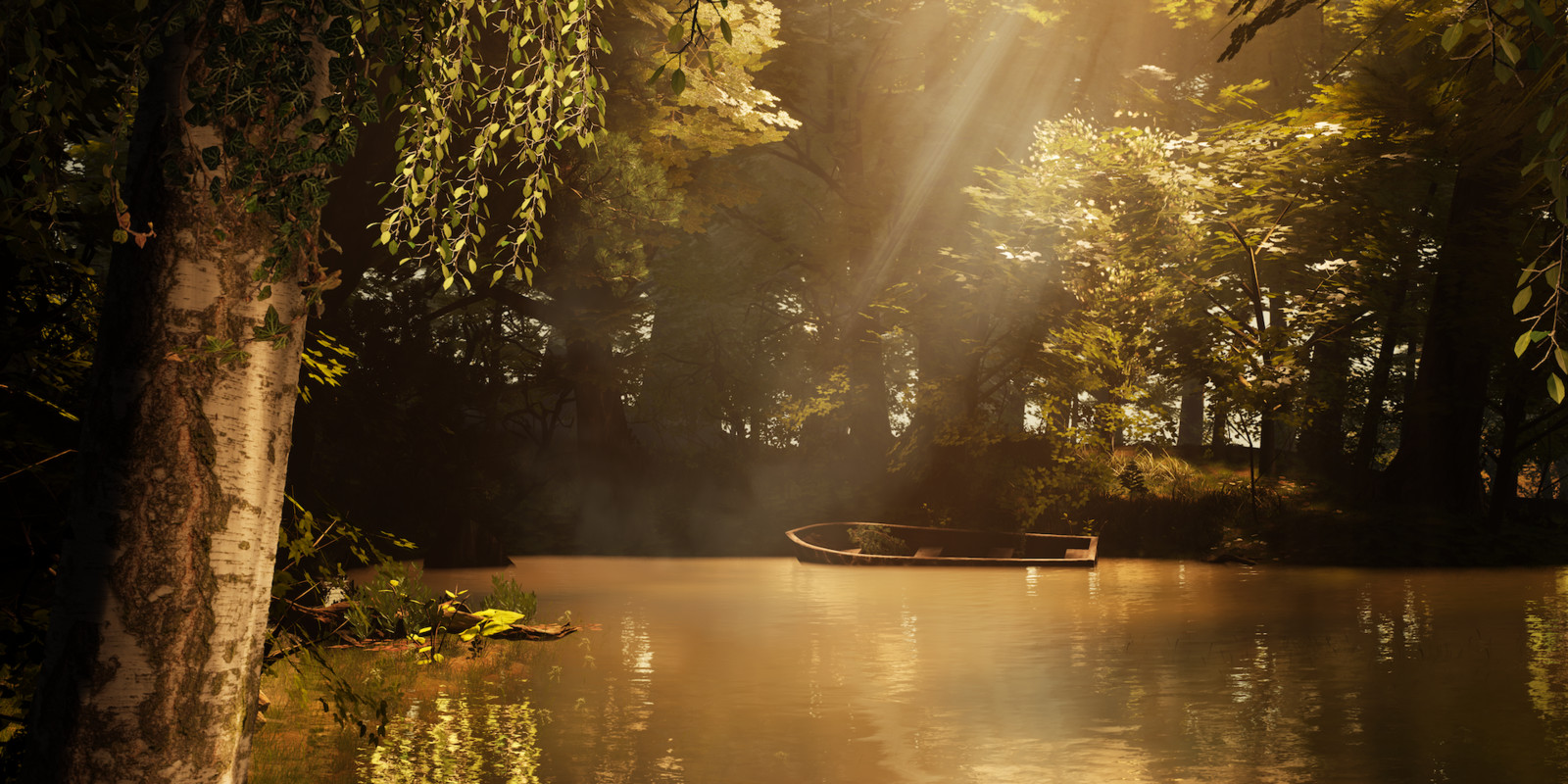 Forest - Warm Autumn