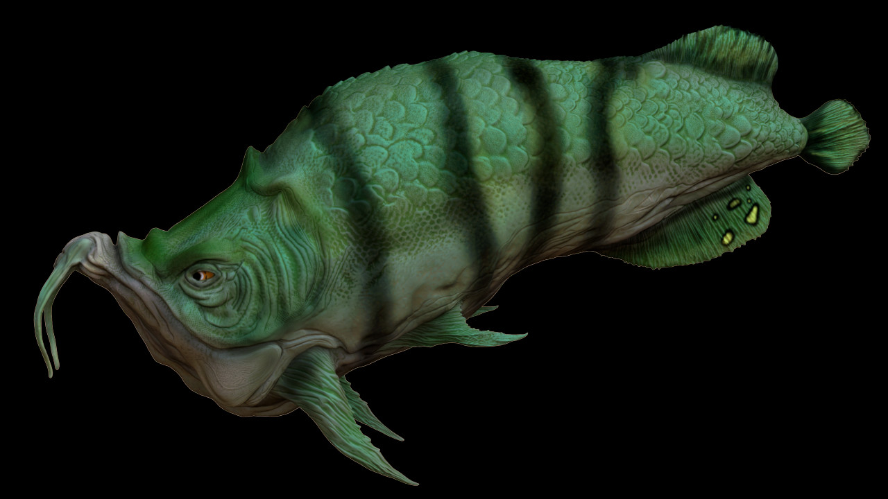 The 2025 angry catfish