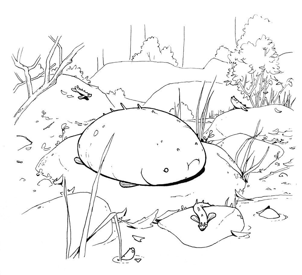 17 - Swollen