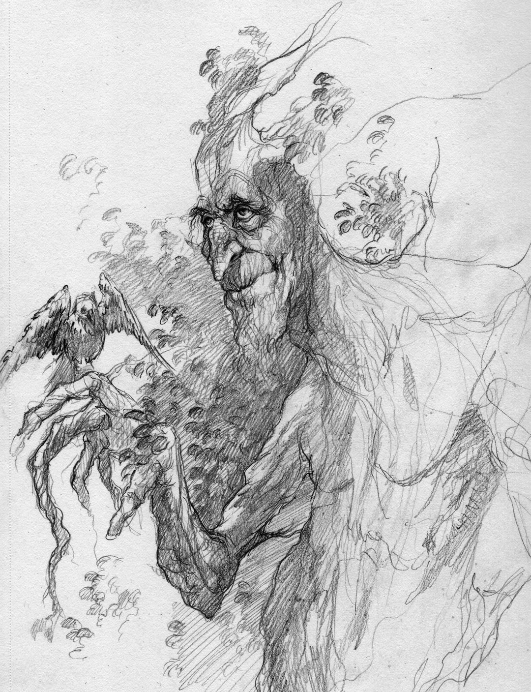 Gandalf by John Howe, in the December 2014: The Lord of the Rings and The  Hobbit Comic Art Sketchbook