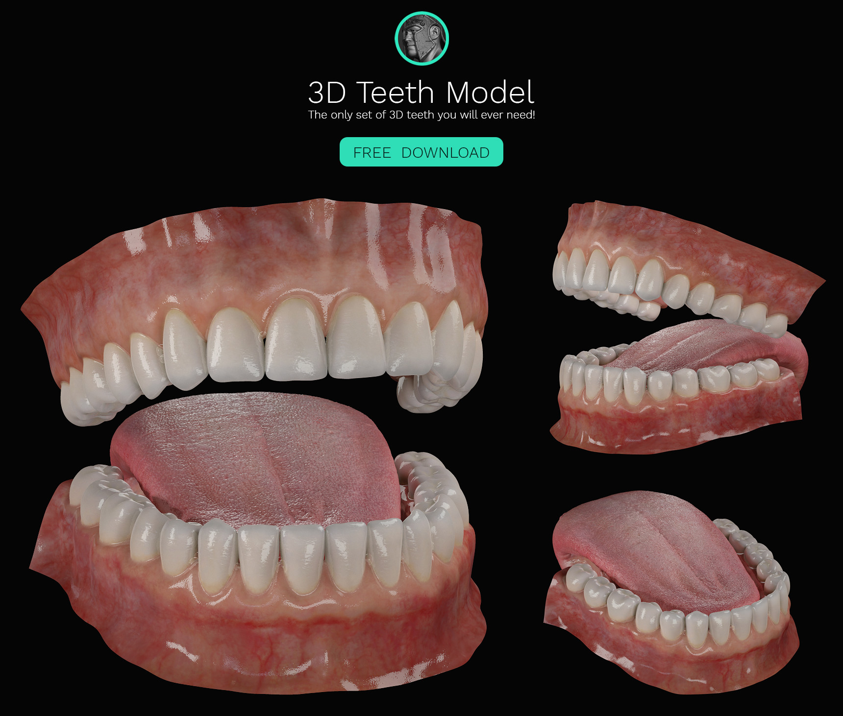 Artstation Free 3d Teeth Model Ben 3d Gladiator