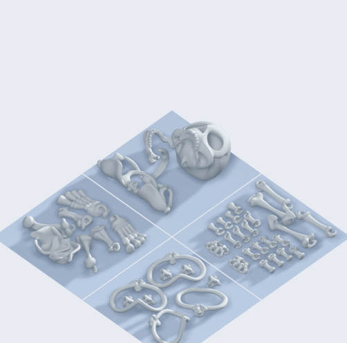Assembling of 3D printed bones