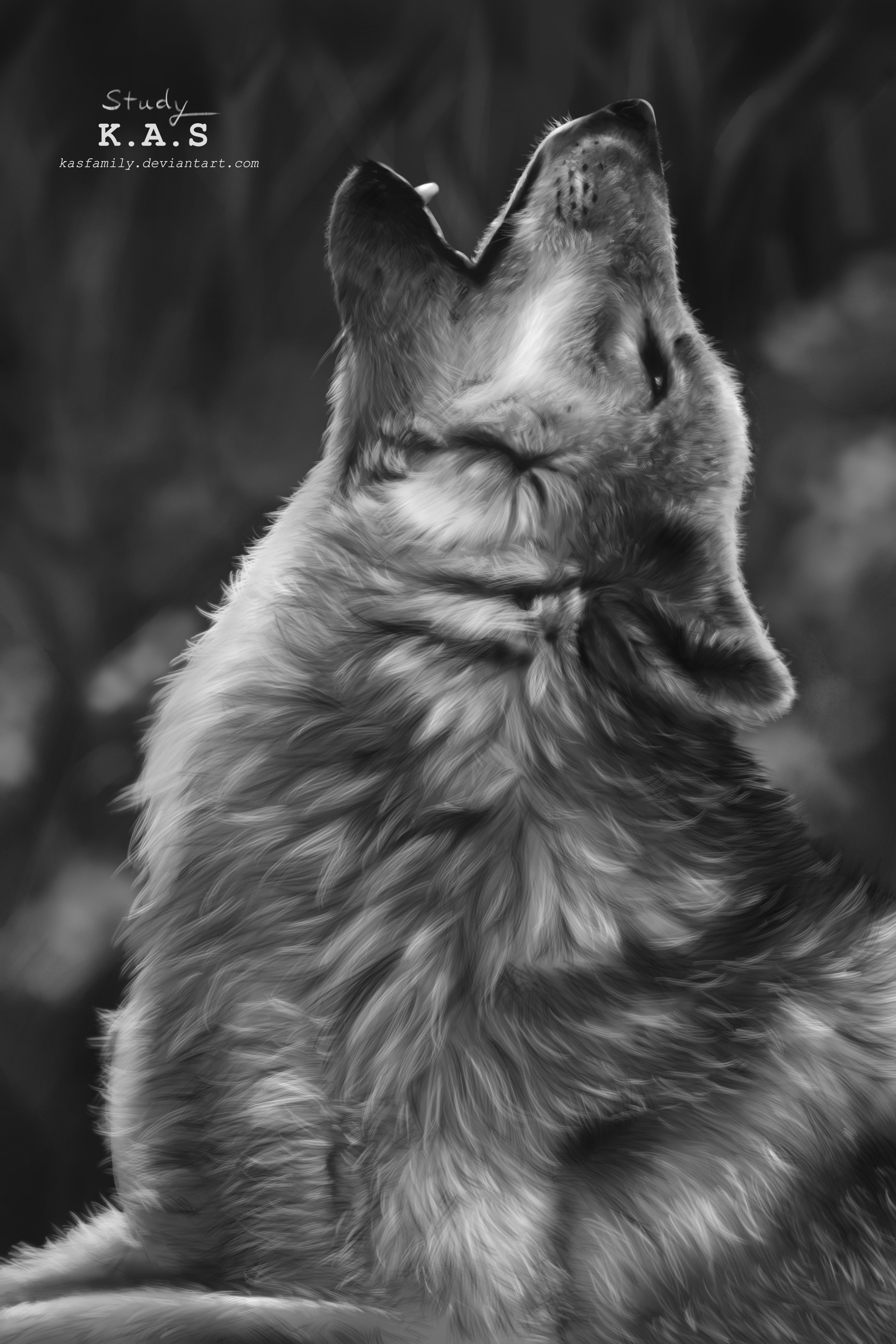 ArtStation - KAS - Howling Wolf (Realistic Study)