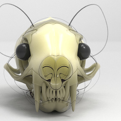 Ty shelton ermineskull 001