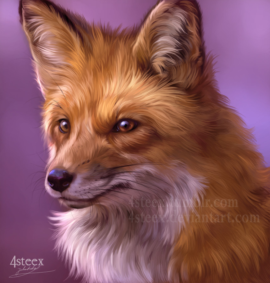 ArtStation - foxy fox