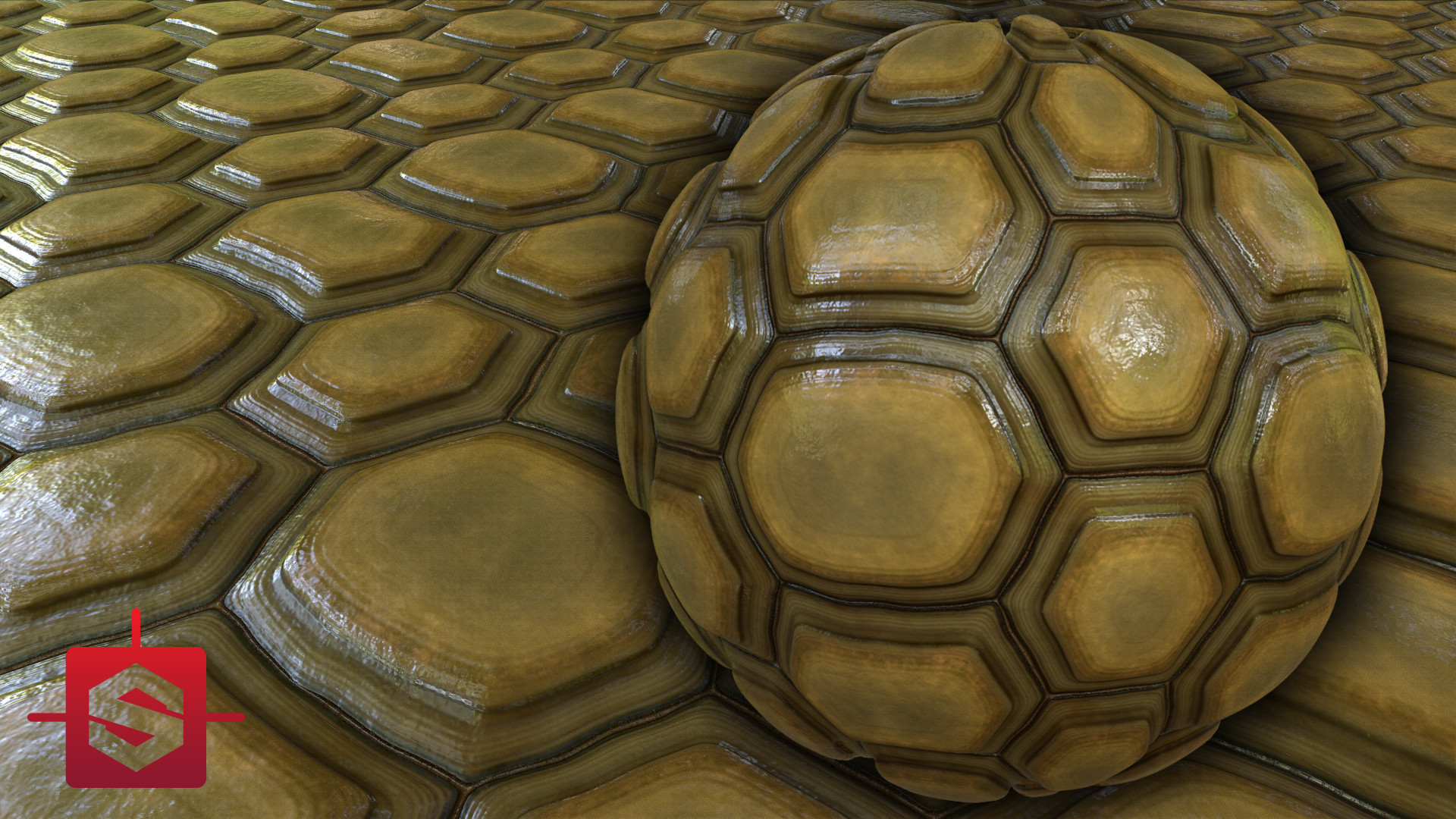 Green tortoise deals shell