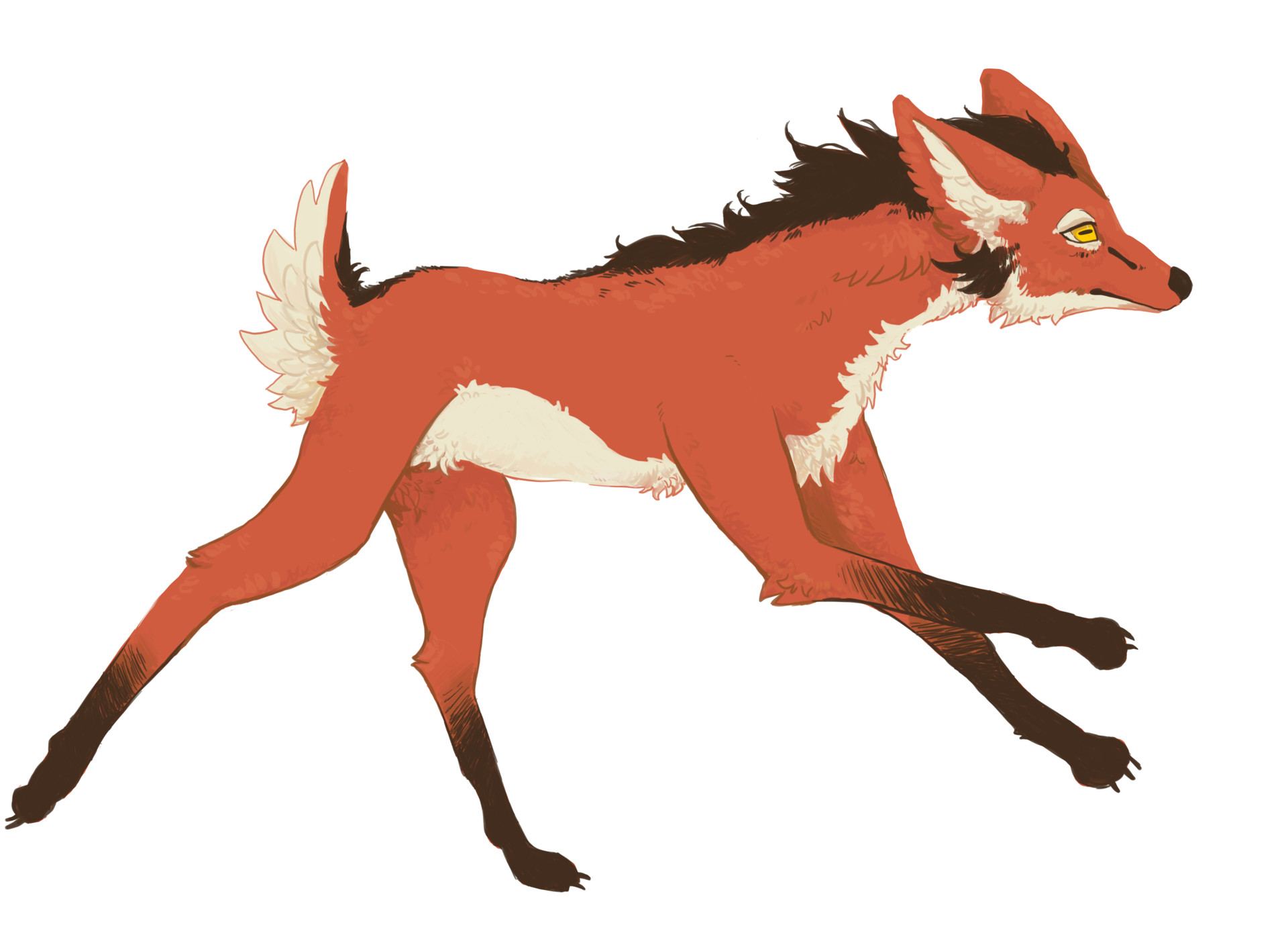 Artstation - Maned Wolf For Waracle