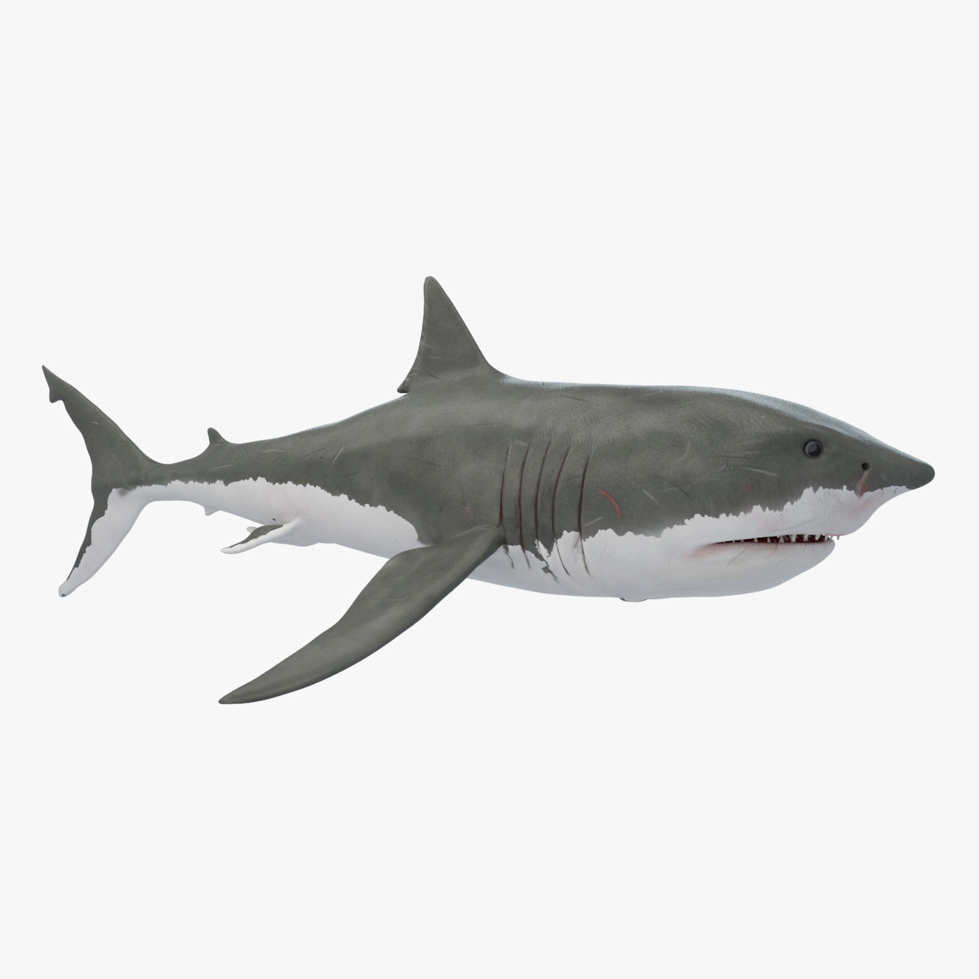 vfx shark toy
