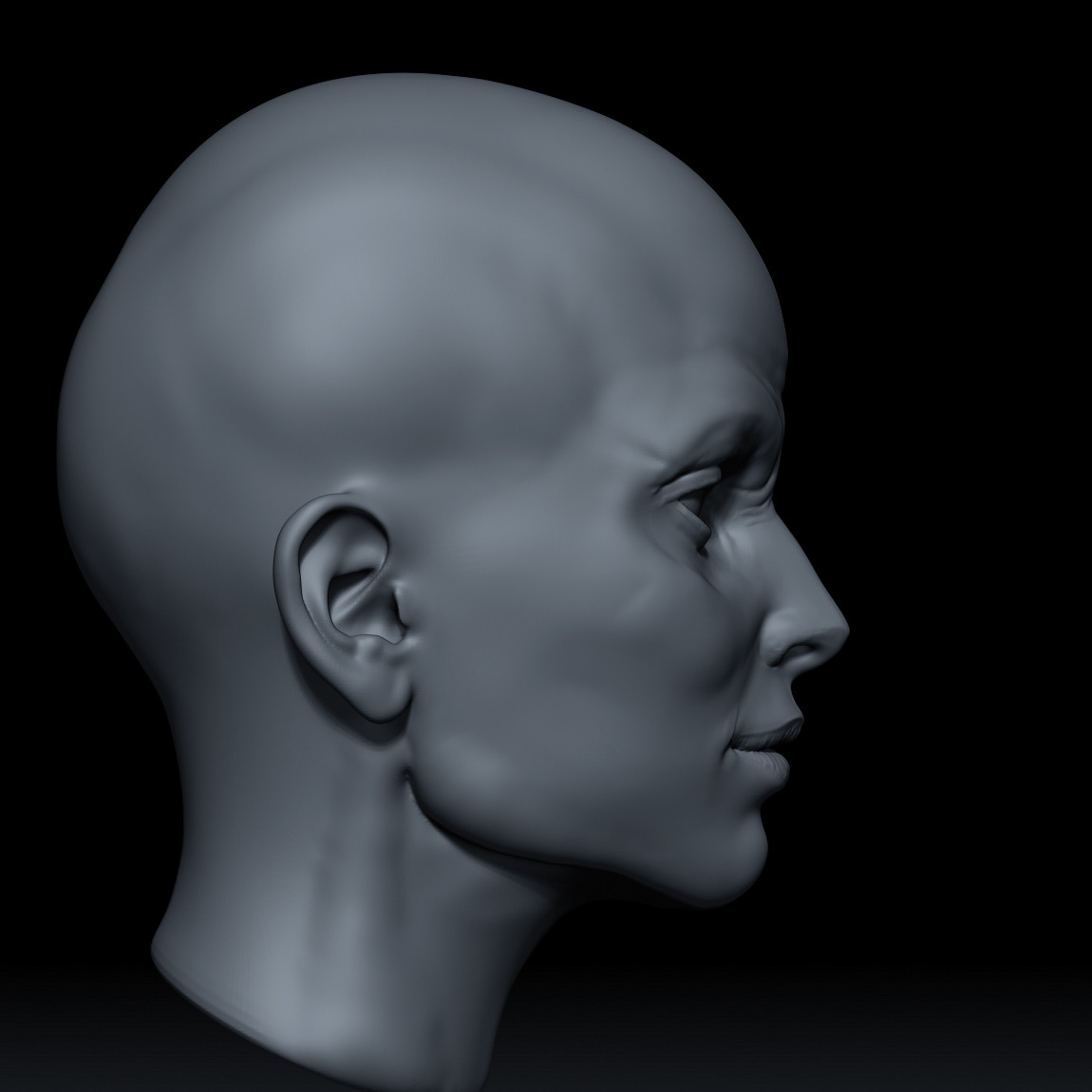 Artstation Face Sculpt John F Stifter