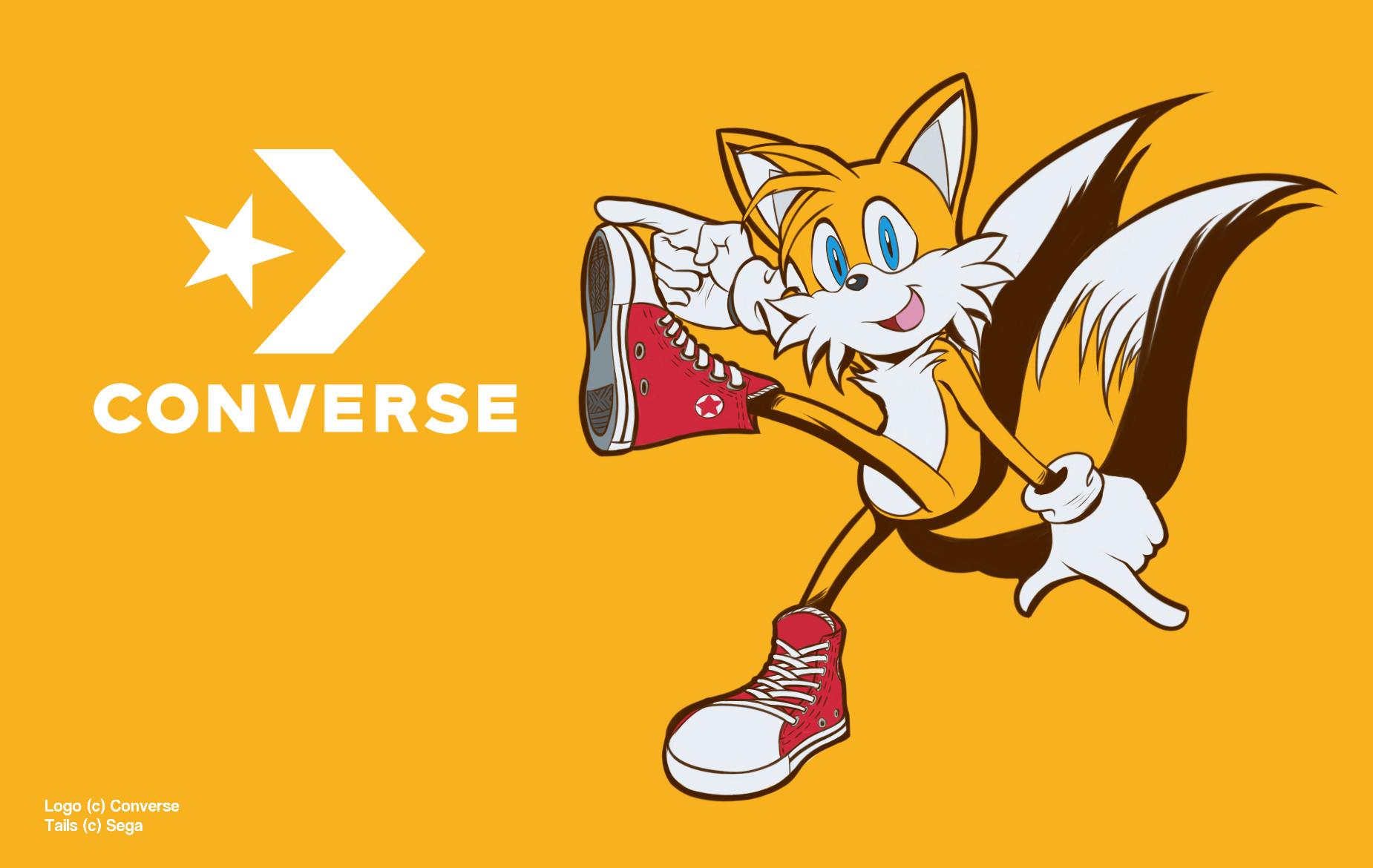 Tails sonic shoes