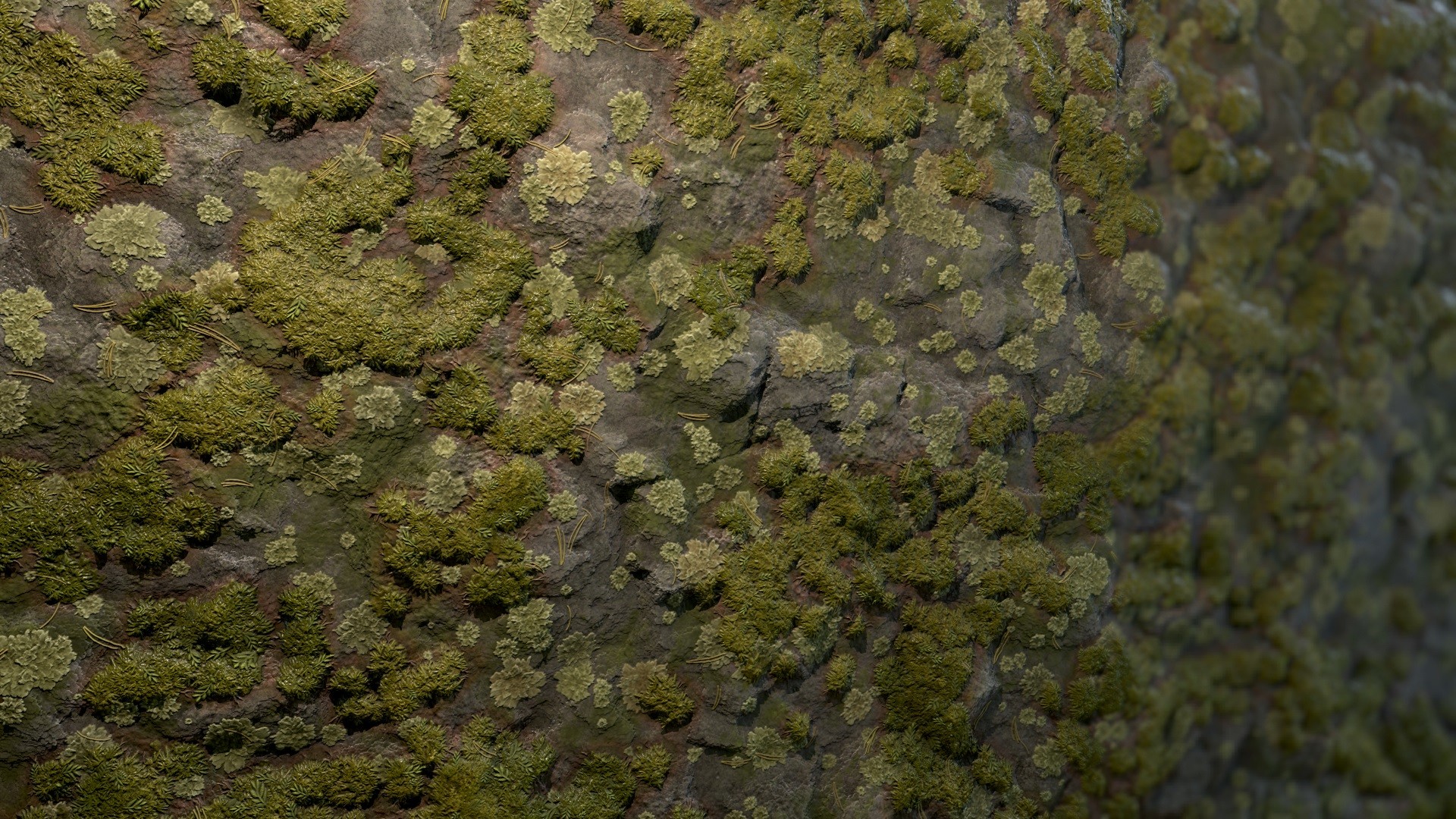 Mossy Rock Substance.