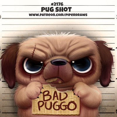 Piper thibodeau dp2176 s