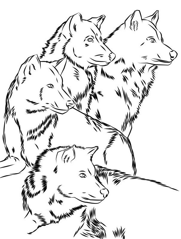 ArtStation - Wolf Pack