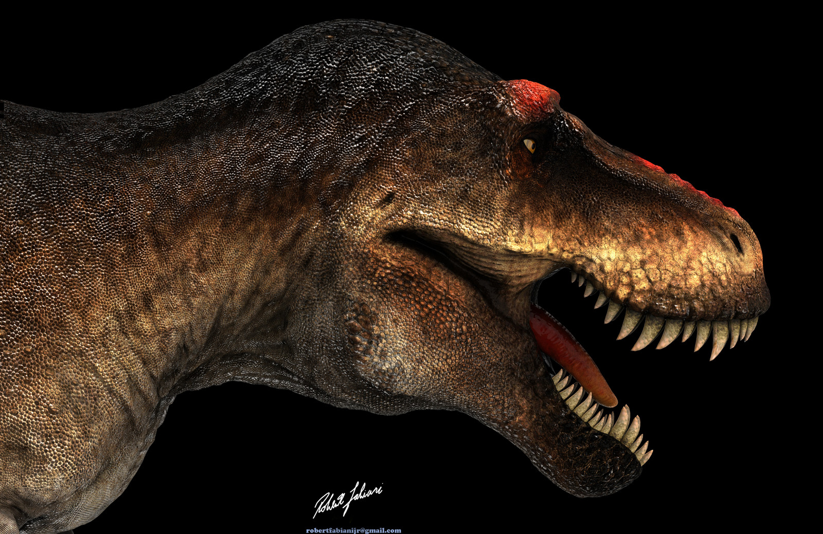scotty t rex weight