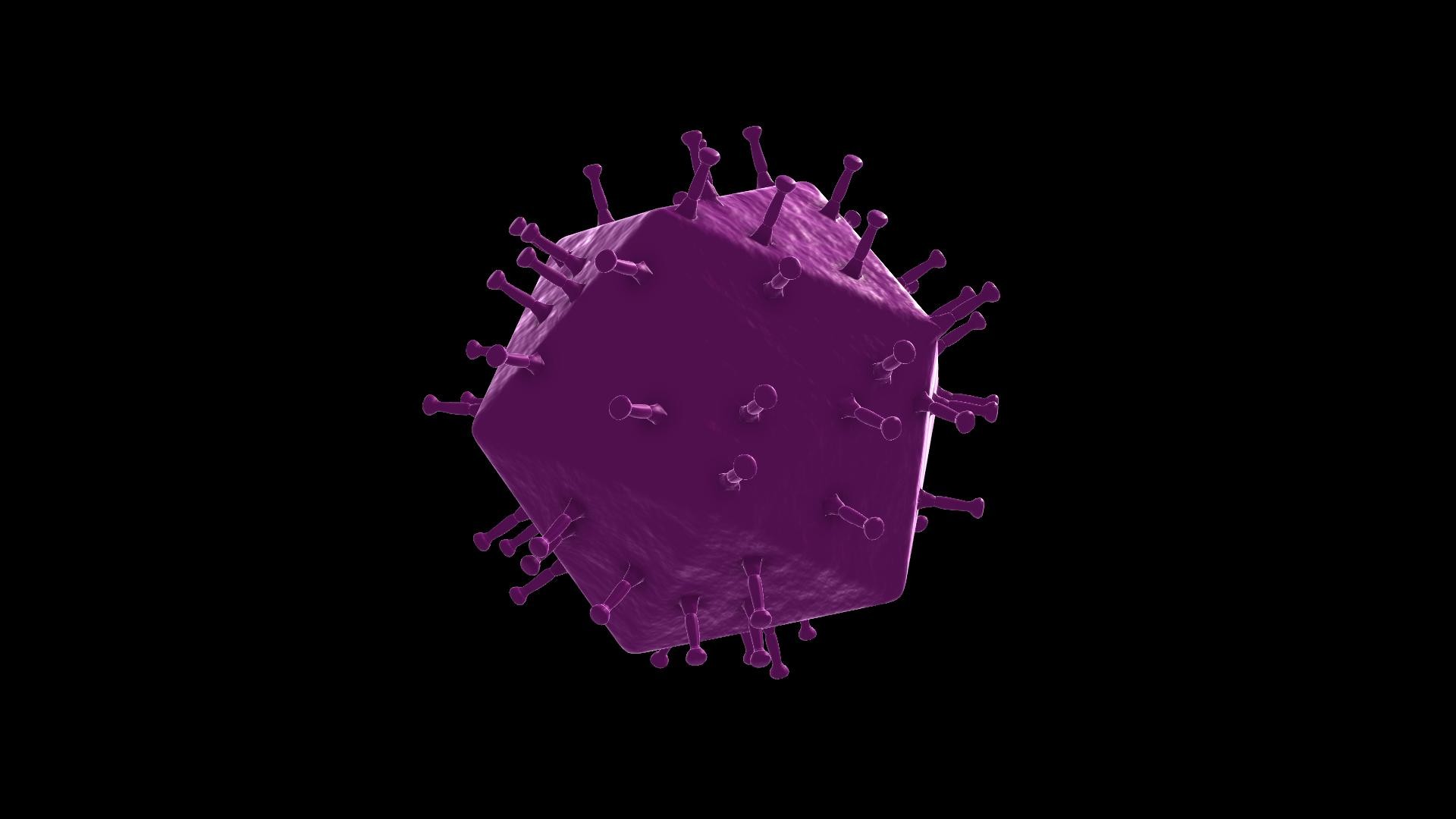 Shahin Safarov Infectious Bursal Disease Virus