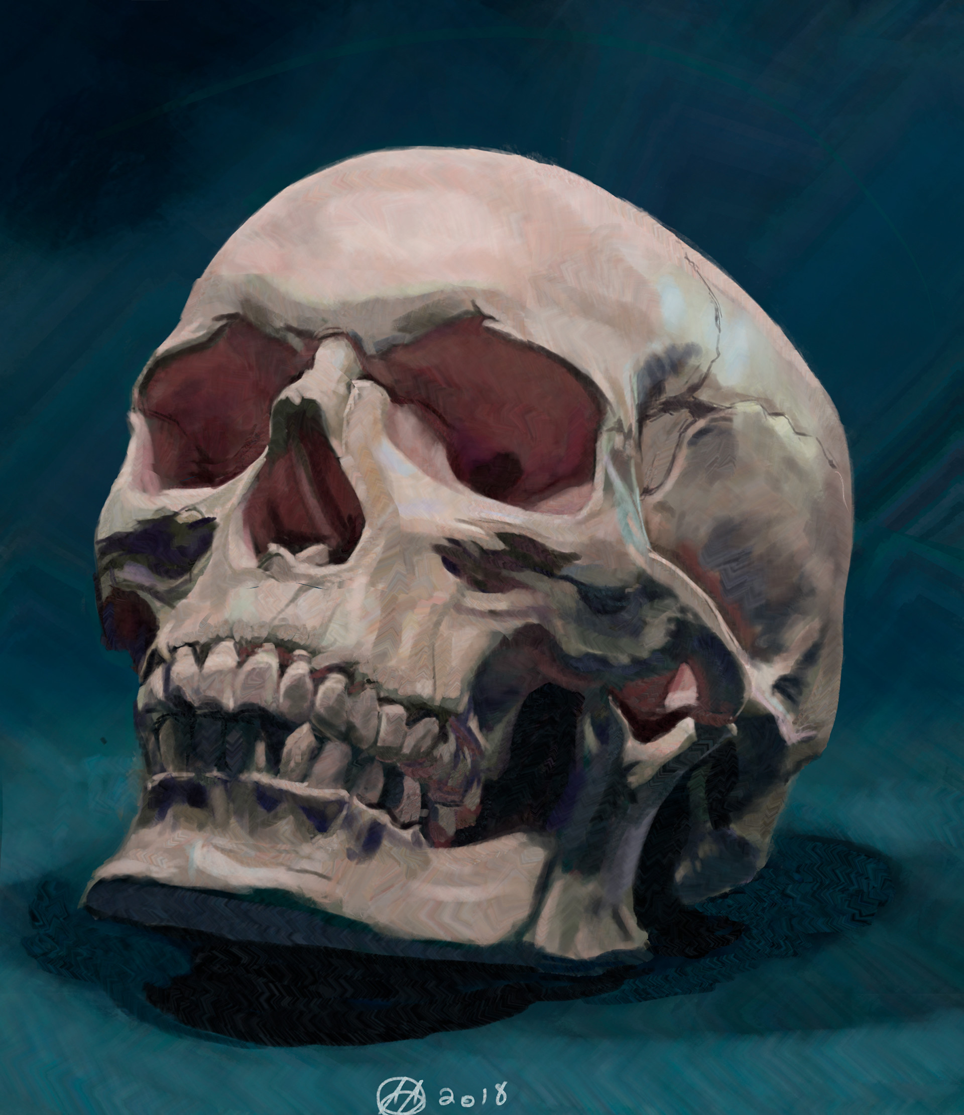 Skull