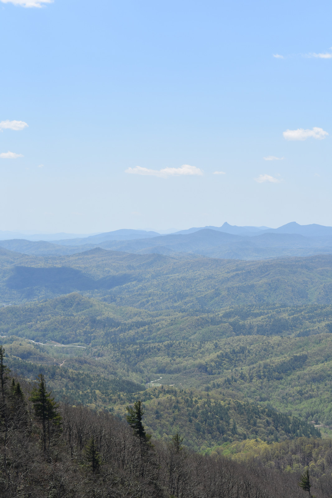 Clay Hackney North Carolina Nature