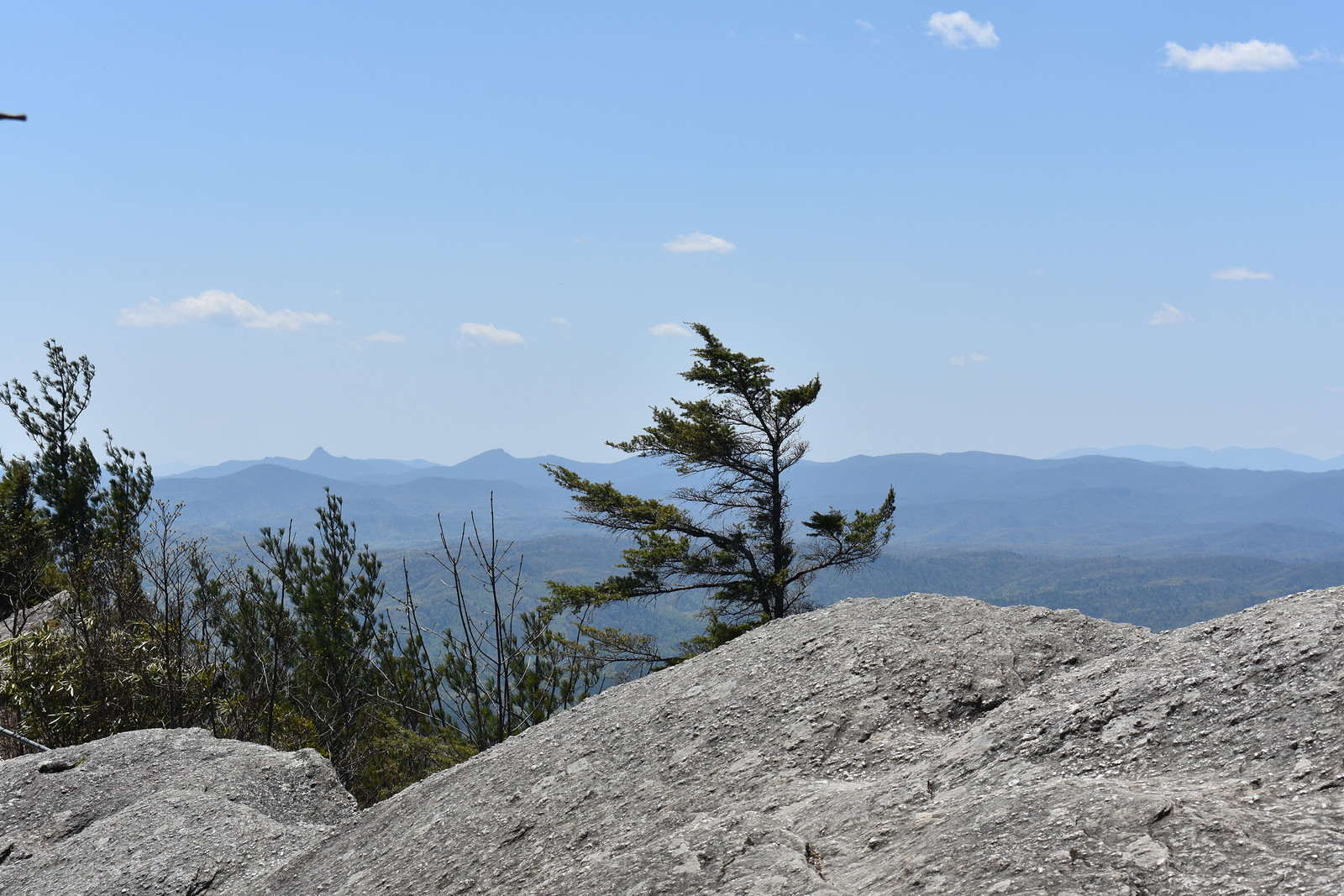 Clay Hackney North Carolina Nature