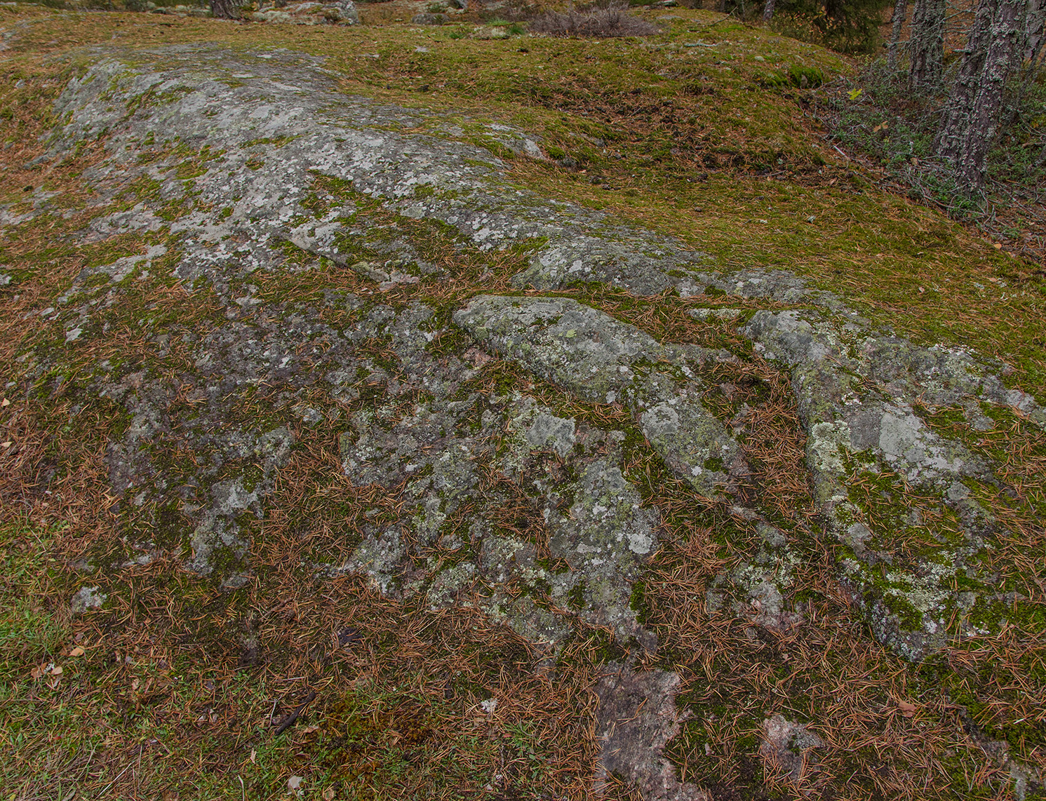 Location Ref