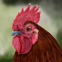 Artstation You Re Next Kem Jaspher