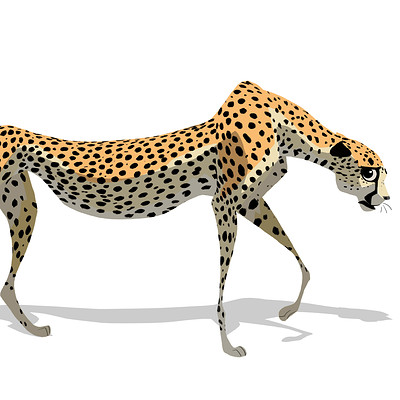 Gabriele pennacchioli cheetah 02b