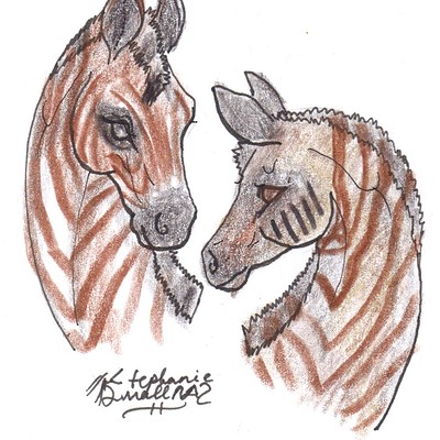 Stephanie Small Horses Equines Unicorns Zebra Donkey