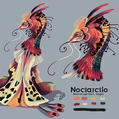 N o c t a r t c t i o