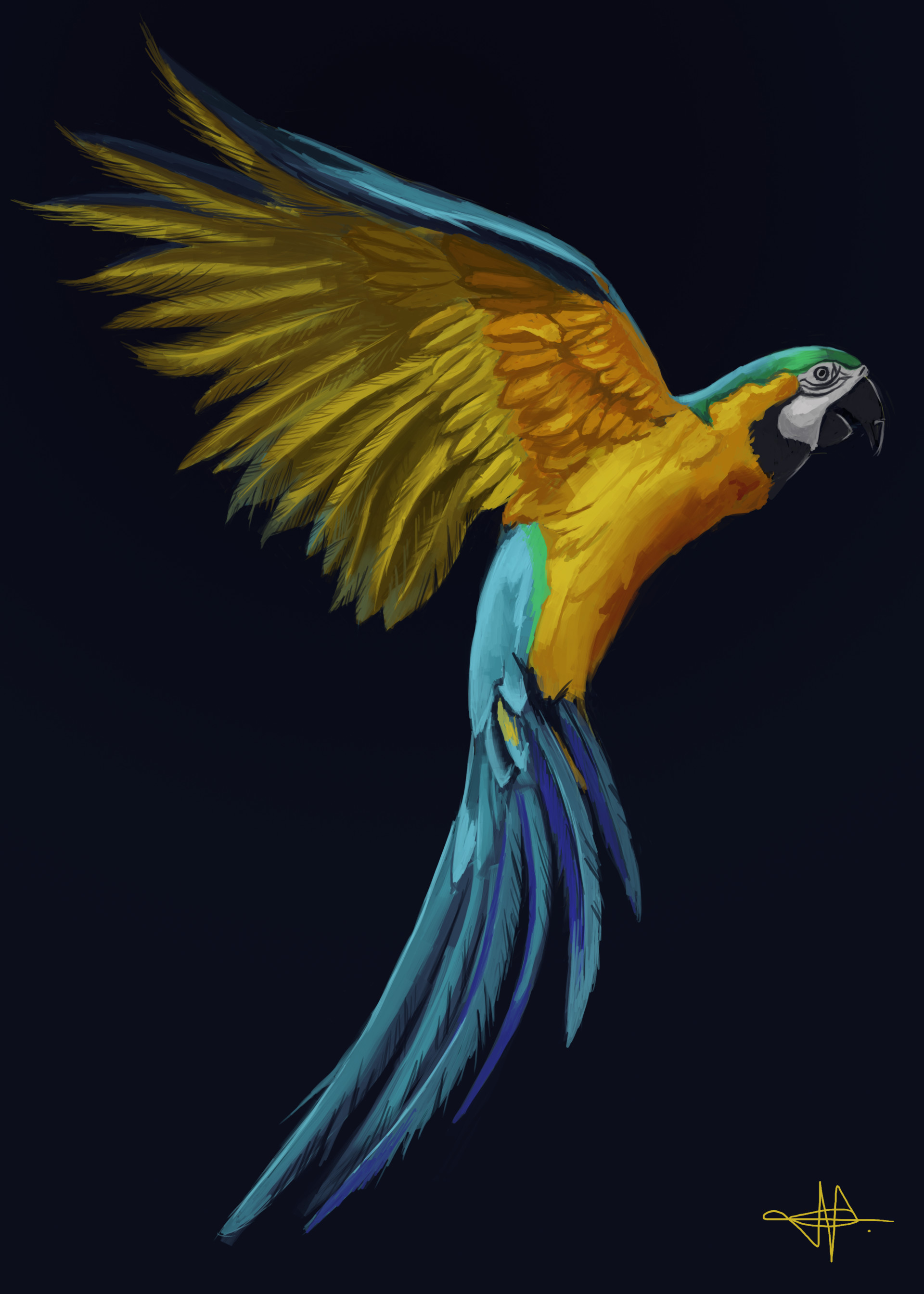 Artstation Parrot Digital Painting Ernesto Martins