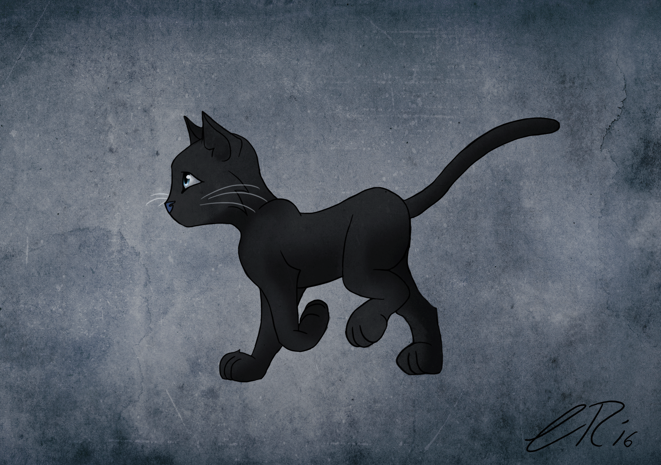 Черная кошка играть. Черная кошка. Черный кот мультяшный. Побег черного кота.