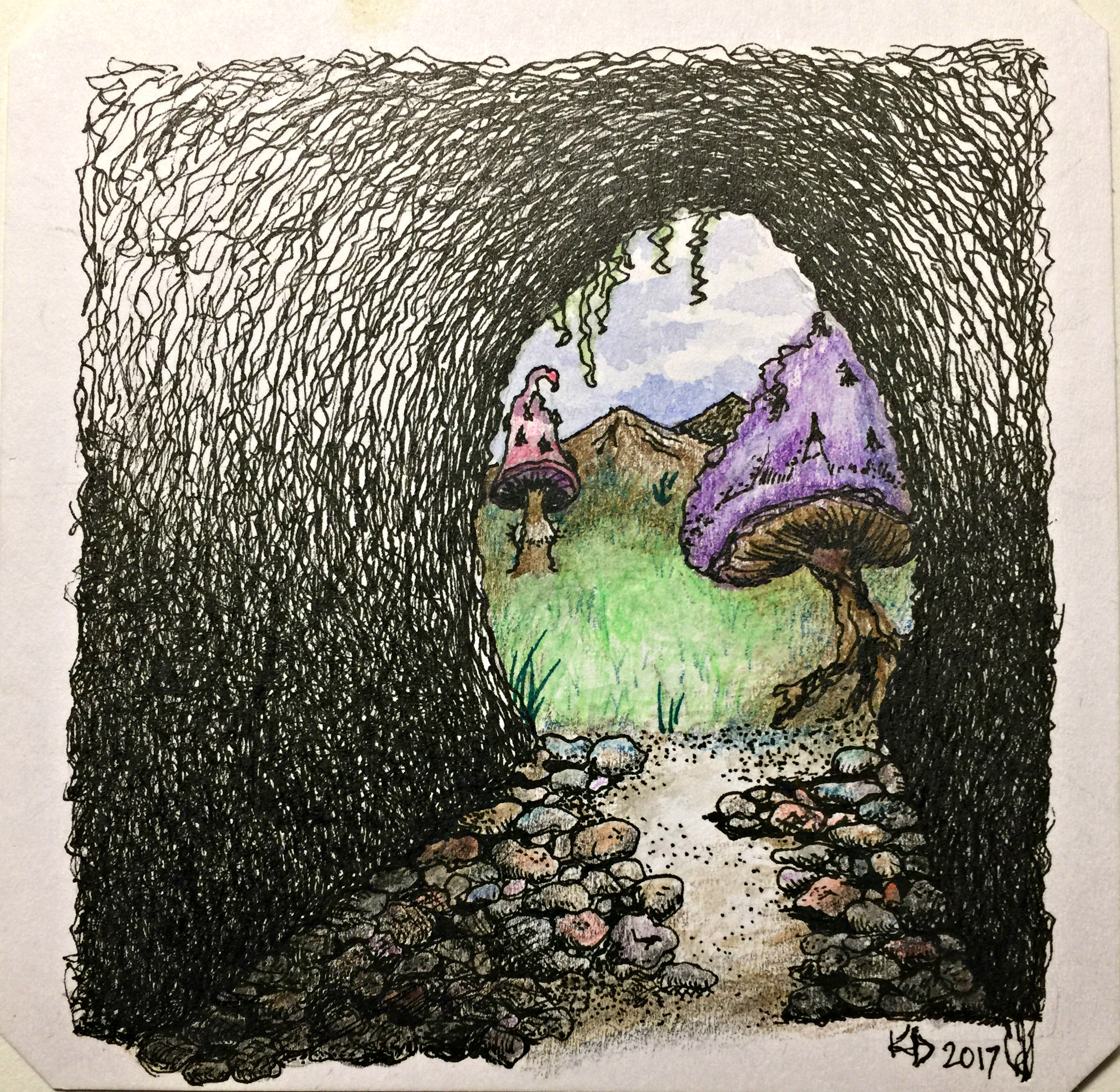 Mushrooms in Neverland