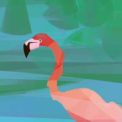 Noemie scherer flamingo