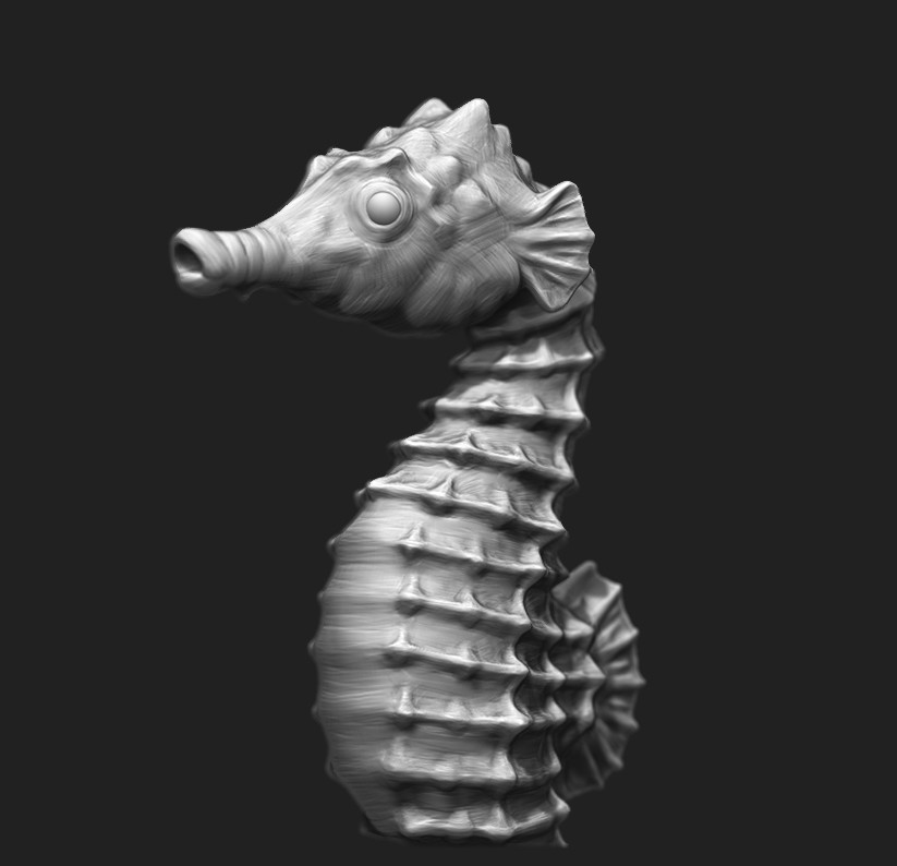Cecilie Sørensen - Seahorse Sculpt