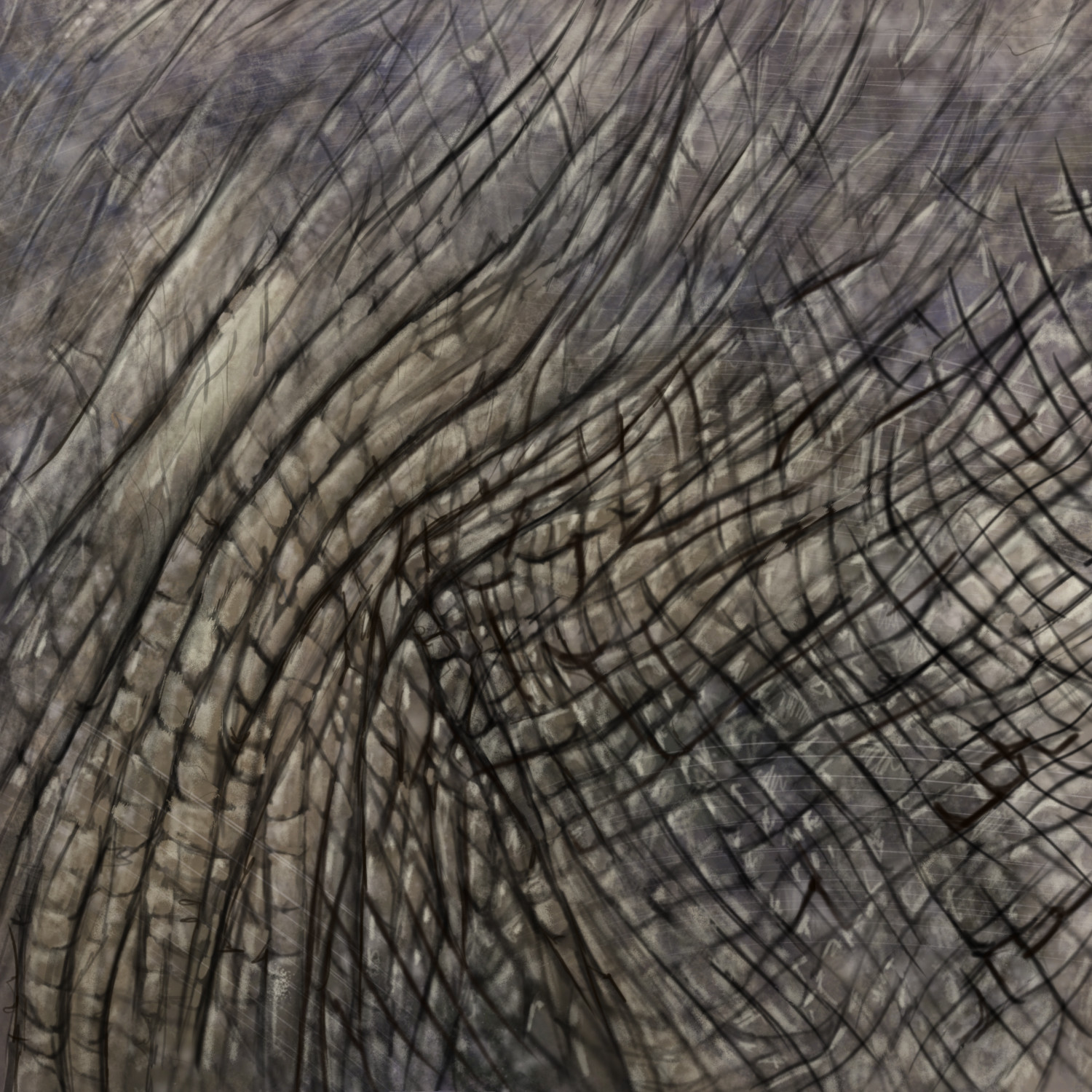 Jose Camps Elephant Skin Texture