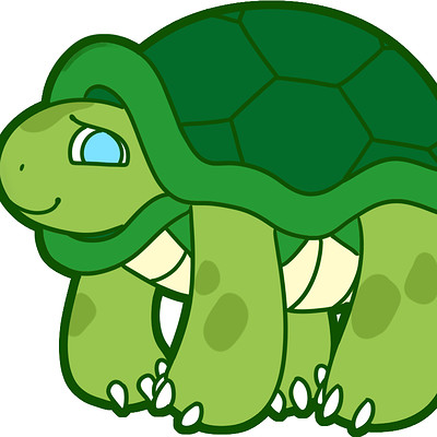 Micah otto turtle
