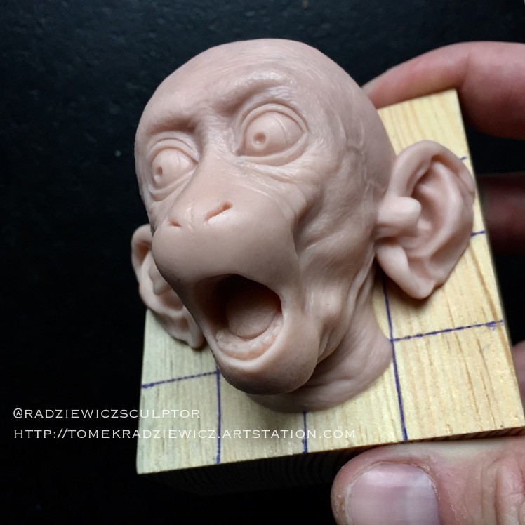 Monkey head/ super sculpy