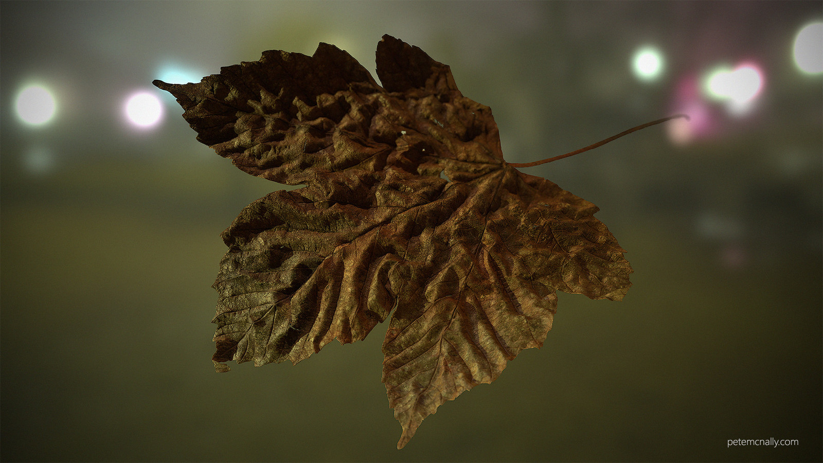 Sycamore leaf (billboard with alpha)