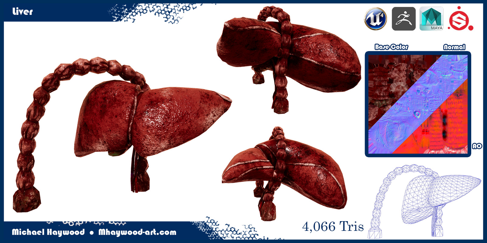 Liver Modelsheet
