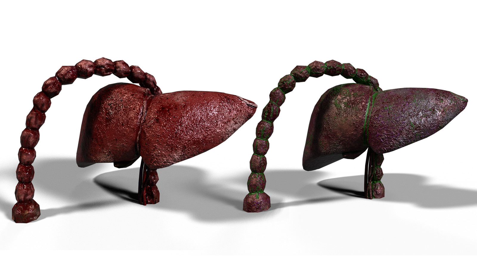 Liver Render