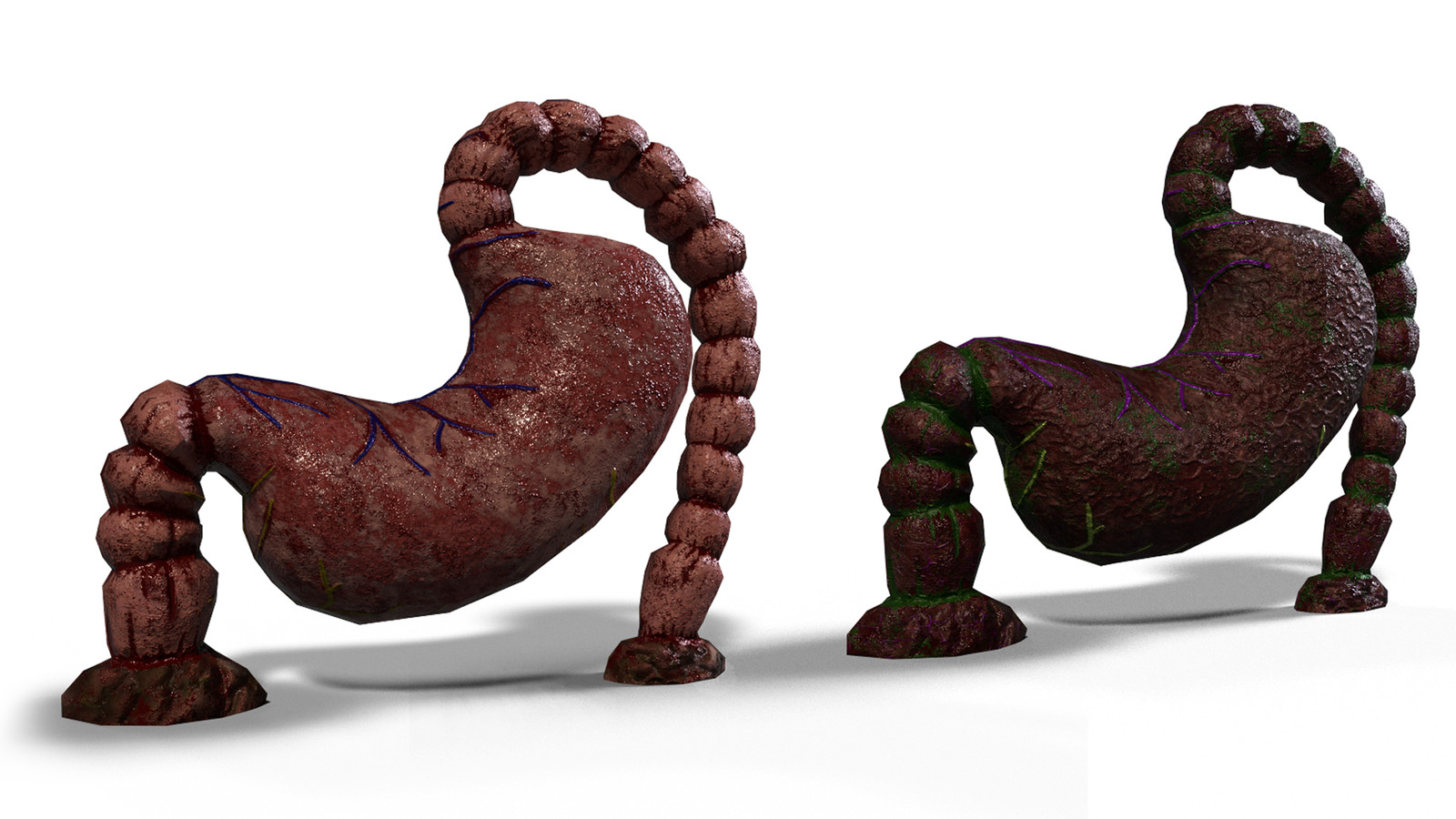 Stomach Render