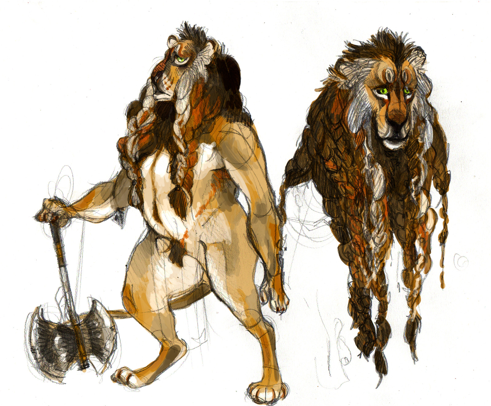 study: lion axman