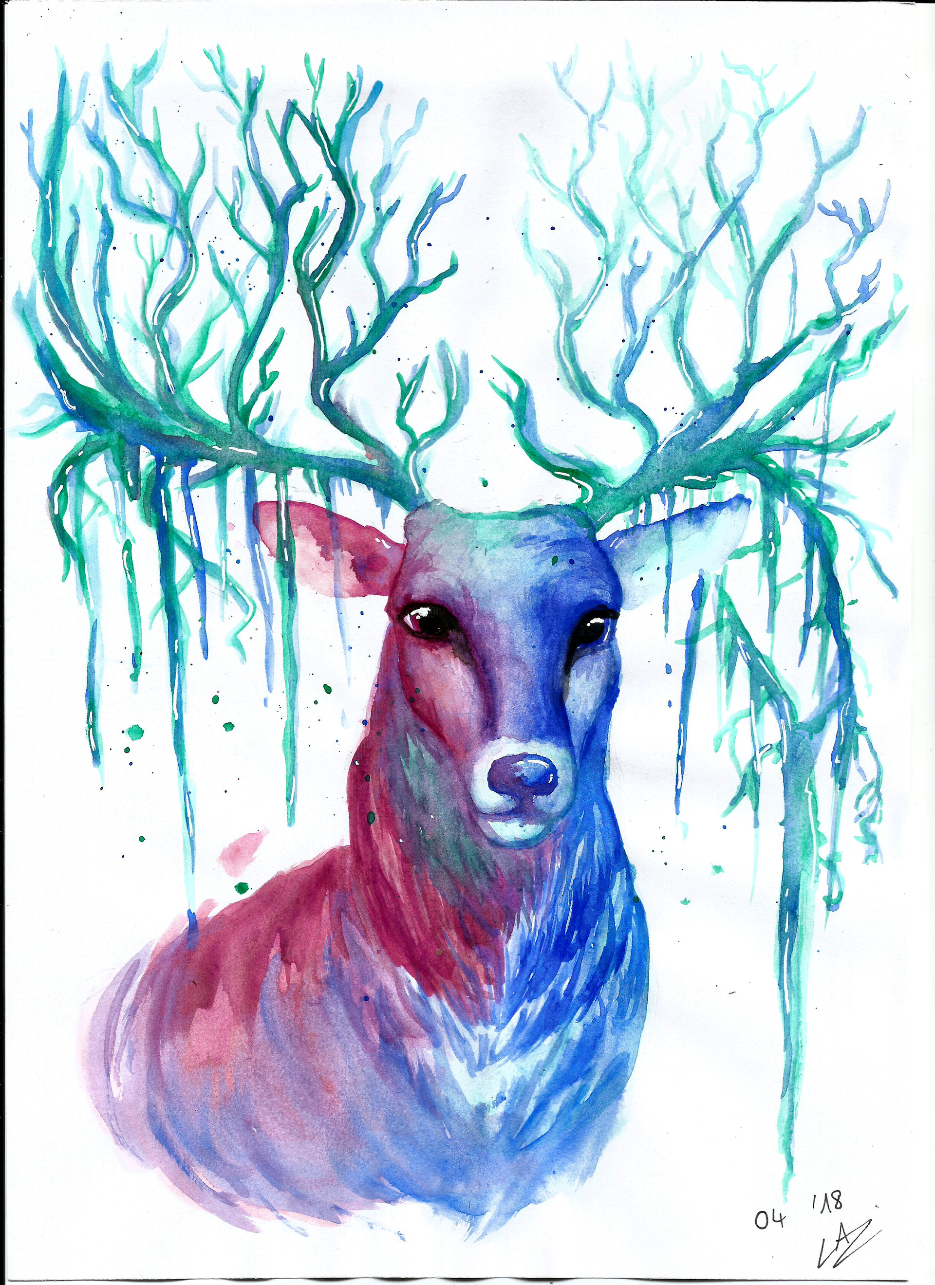 Deer colour shop