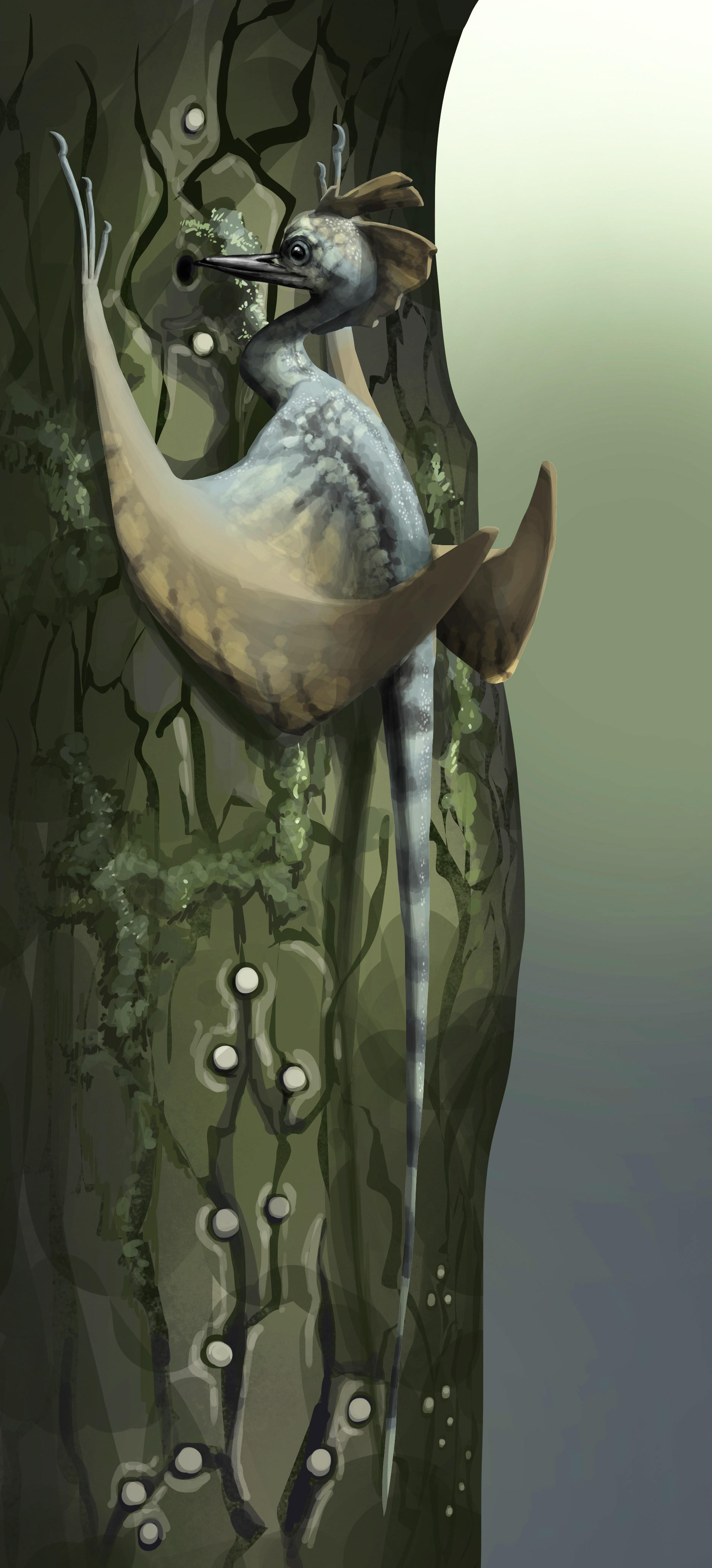 ArtStation Creature Design Bore Lizard