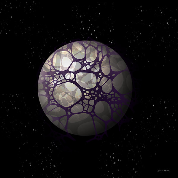 Shawn Young - MEMBRAE-61e