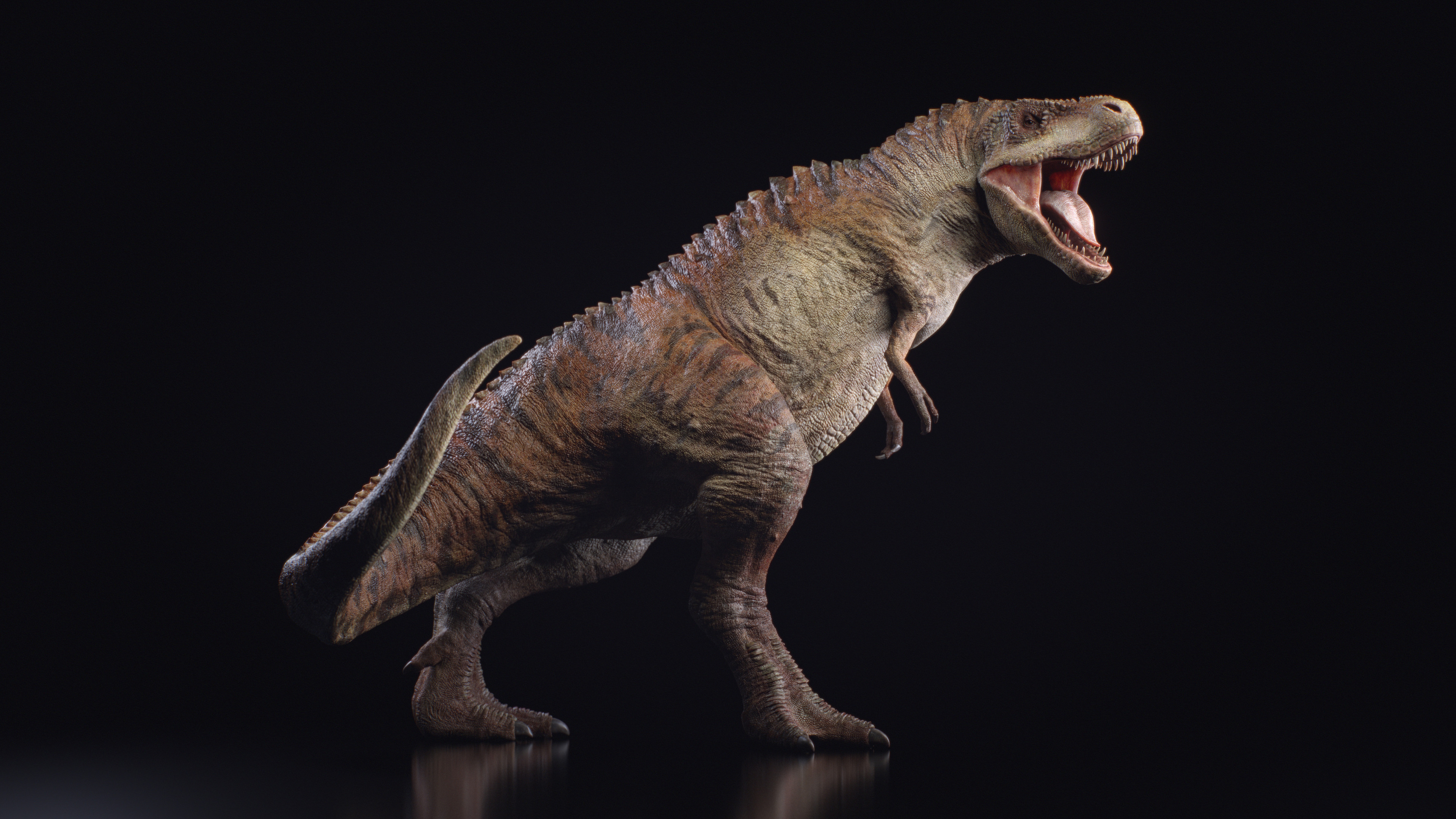 Tyrannosaurus Rex, done for Axis Animation. 
