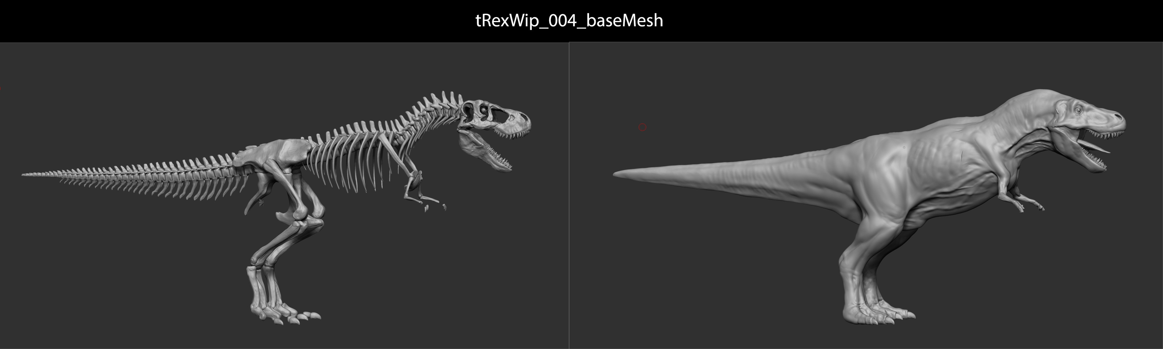 Primary stage of development of the T-Rex. I modeled the bones for muscle simulations and to check the anatomy of my creature.